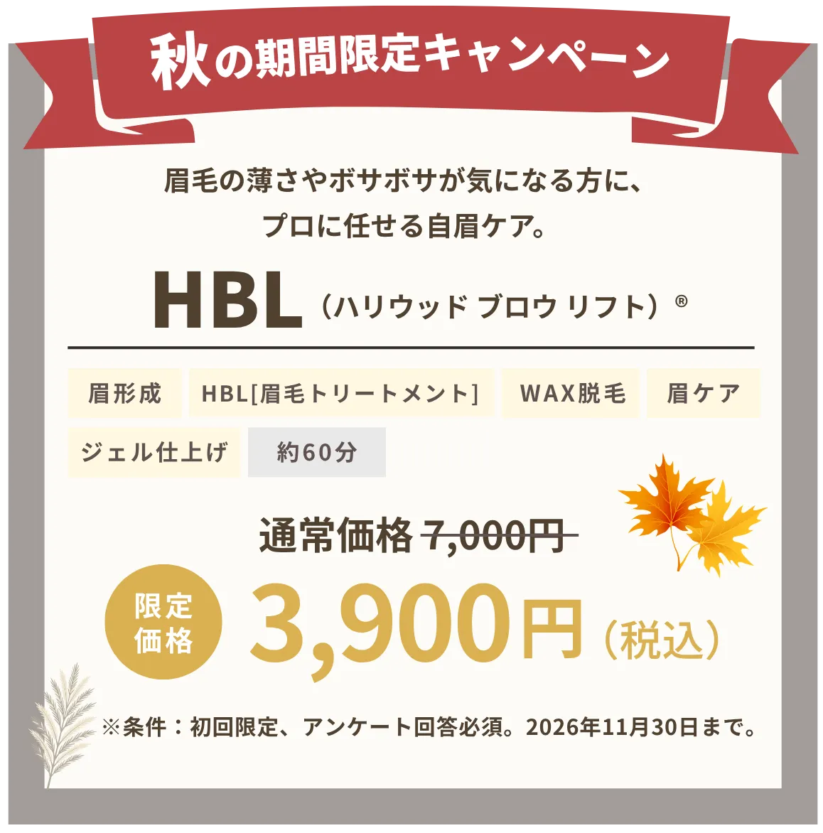 春のキャンペーン情報