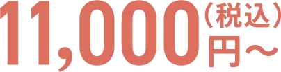 11,000円(税込)